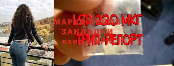 круглые Алзамай