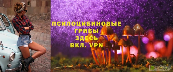 jwh Абаза